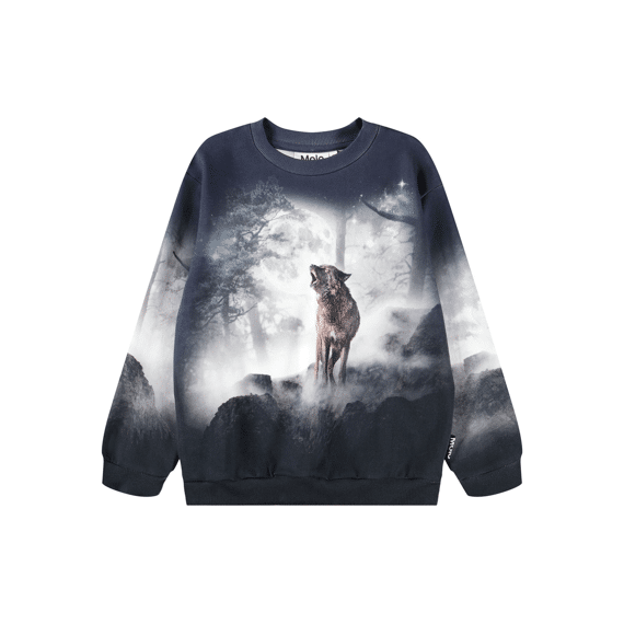 Molo Sweater
