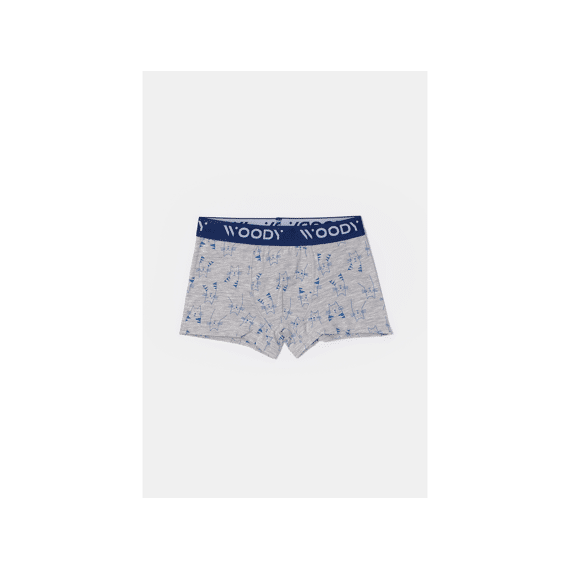 Woody Boxershorts 2-Pack