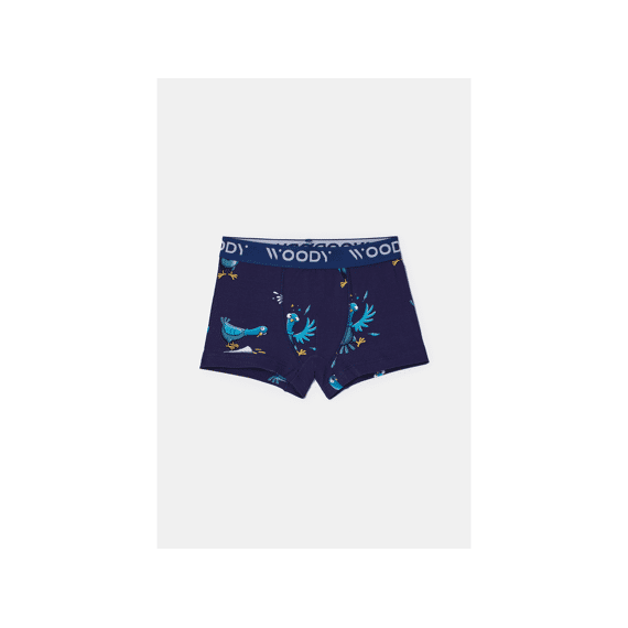 Woody Boxershorts 2-Pack