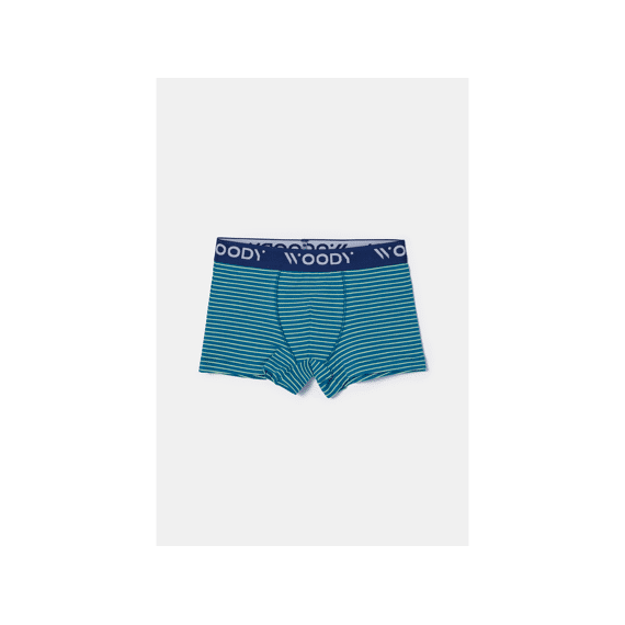 Woody Boxershorts 2-Pack
