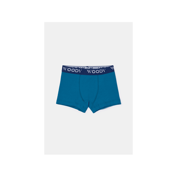Woody Boxershorts 2-Pack