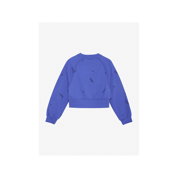 Indian Blue Jeans Sweater