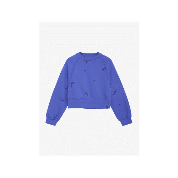 Indian Blue Jeans Sweater