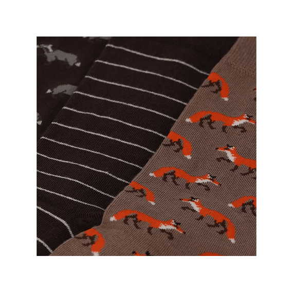 Apollo Kousen 3-Pack