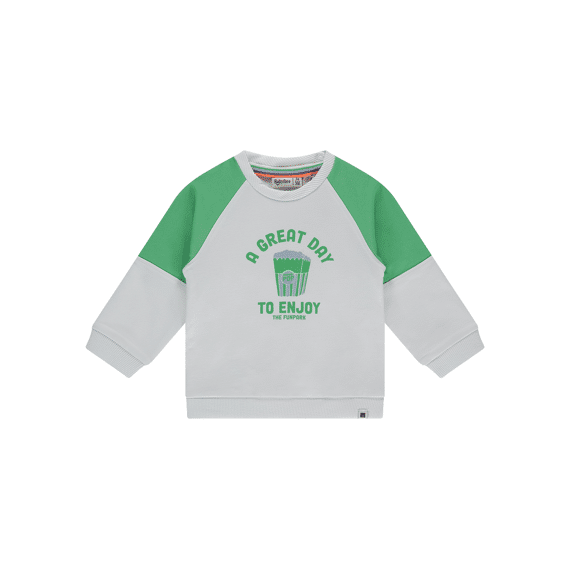 Babyface Z26 Baby Boys Sweatshirt