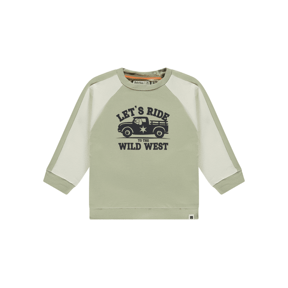 Babyface Z26 Baby Boys Sweatshirt