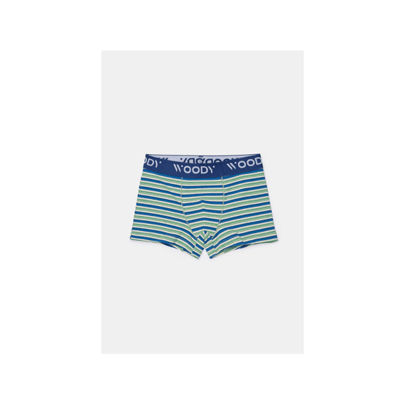 Woody Boxershorts 2-Pack