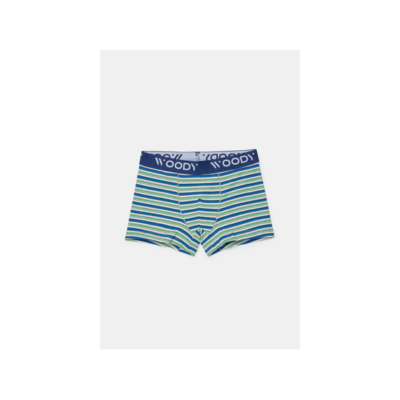 Woody Boxershorts 2-Pack