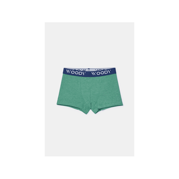 Woody Boxershorts 2-Pack
