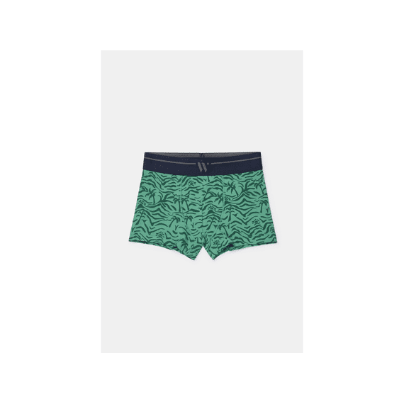 Woody Boxershorts 2-Pack