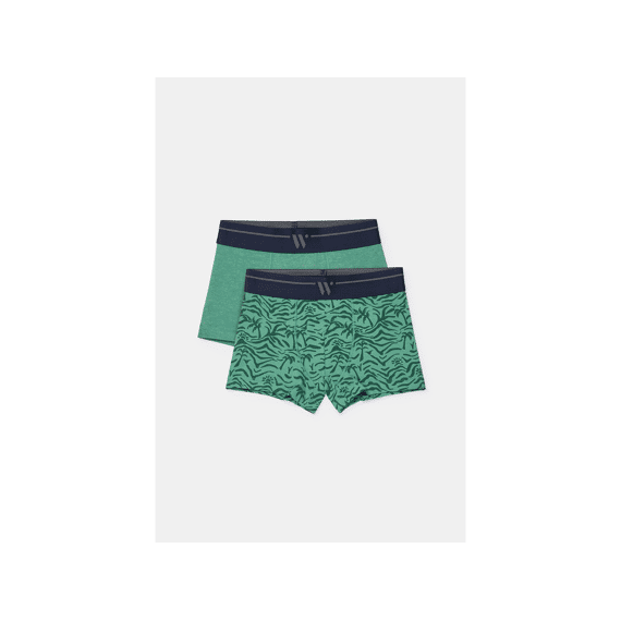 Woody Boxershorts 2-Pack
