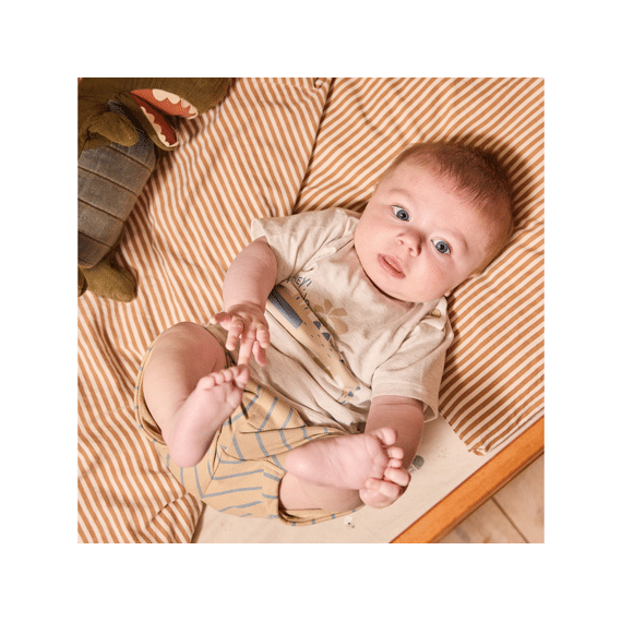 Dirkje Meerdelige Set