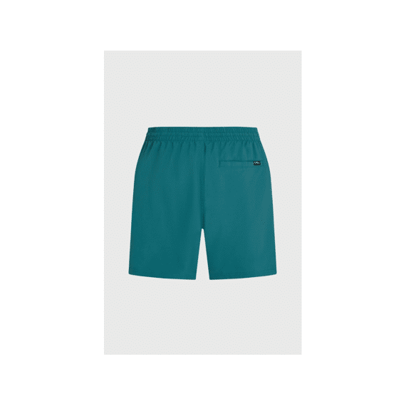 Oneill Zwemshort