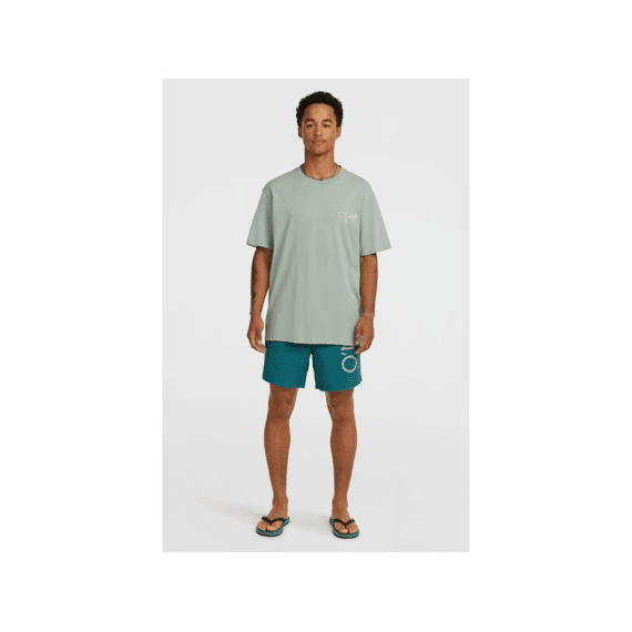 Oneill Zwemshort