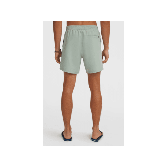 Oneill Zwemshort