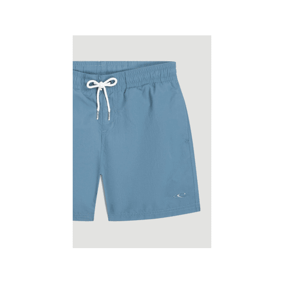 Oneill Zwemshort