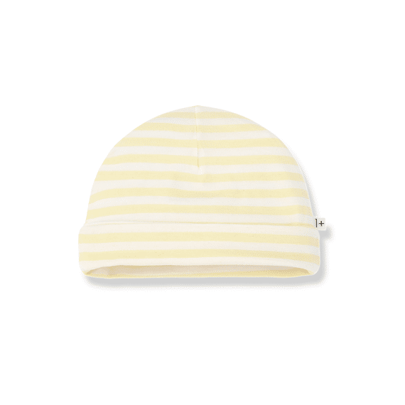 One More In The Family Muts