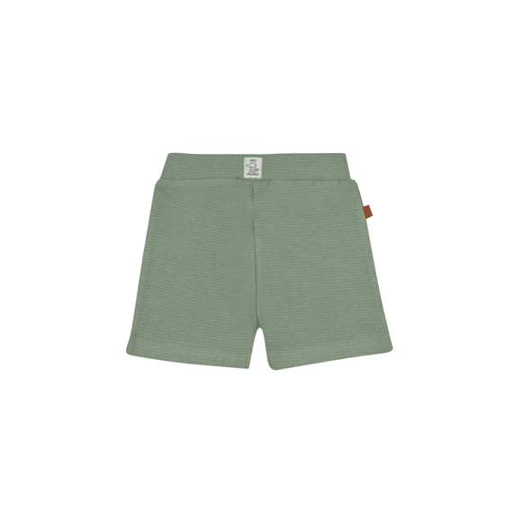 Frogs And Dogs Short