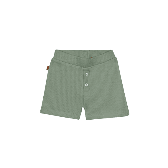 Frogs And Dogs Short