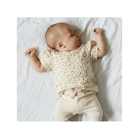 Frogs And Dogs T-shirt