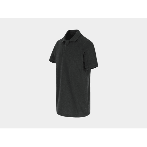 Herock Polo (werk)