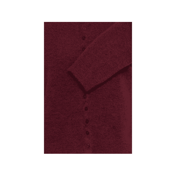 Ichi Gilet