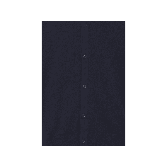 Blend He Gilet