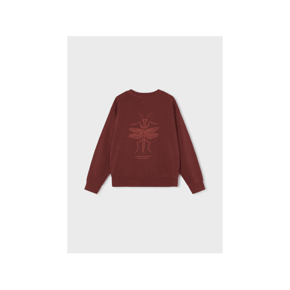 Boston Kids Sweater