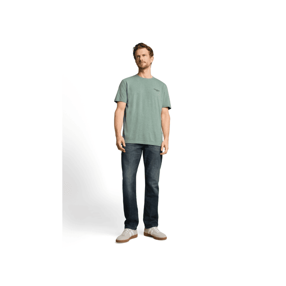 Tom Tailor Heren T-shirt