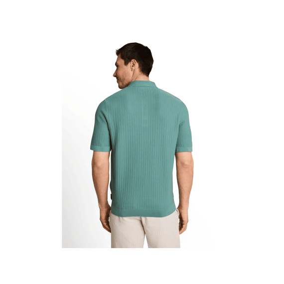 Tom Tailor Heren Polo