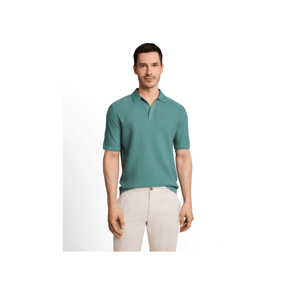 Tom Tailor Heren Polo