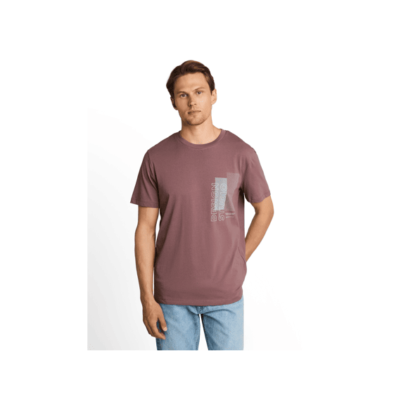 Tom Tailor Heren T-shirt