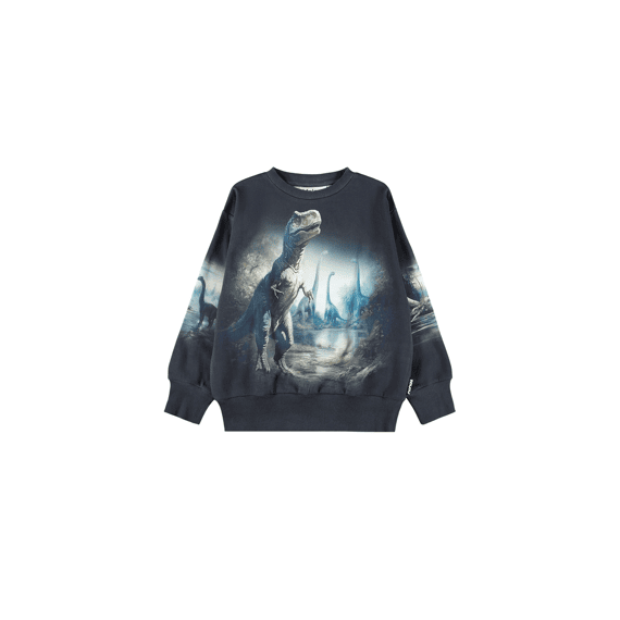 Molo Sweater