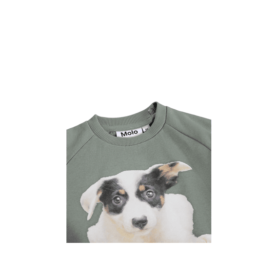 Molo Sweater