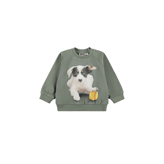 Molo Sweater