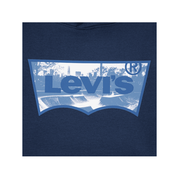 Levi S Sweater