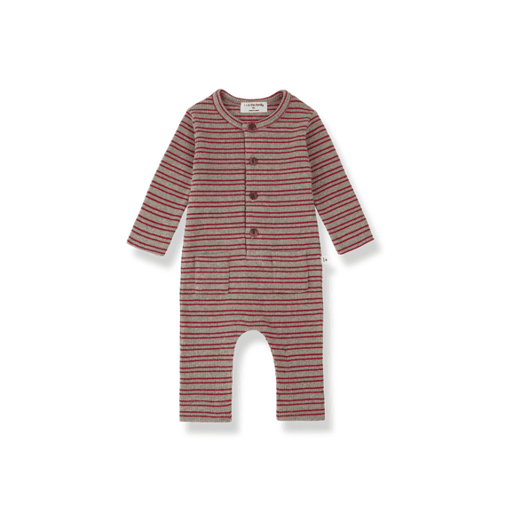 One More In The Family Jumpsuit