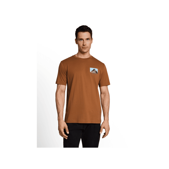 Tom Tailor Heren T-shirt