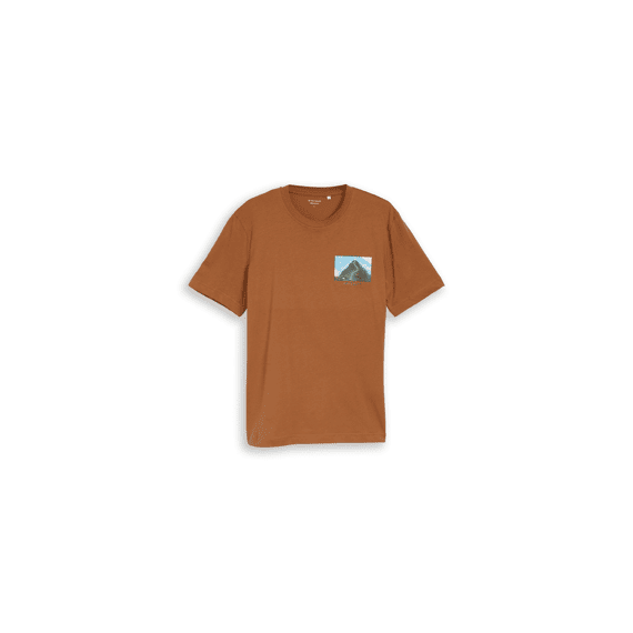 Tom Tailor Heren T-shirt