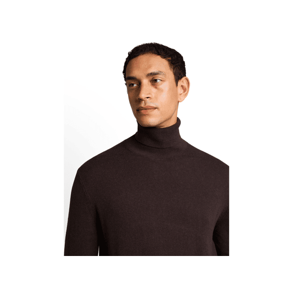 Tom Tailor Heren Pull