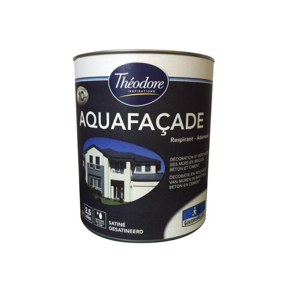 Théodore Aquafacade Satijn Graphite 2.5L