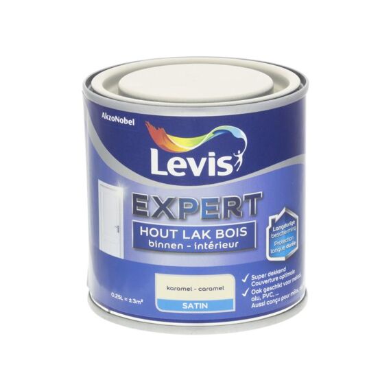 Levis Lak Expert Binnen 0.25L 1372