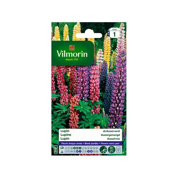 Vilmorin Lupine Russel Gemengd - Sc