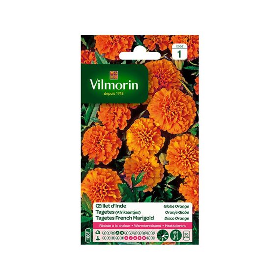 Vilmorin Tagetes Oranje Globe - Sb