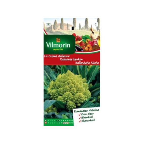 Vilmorin Ital. Bloemkool Romanesco Natalino - Sc