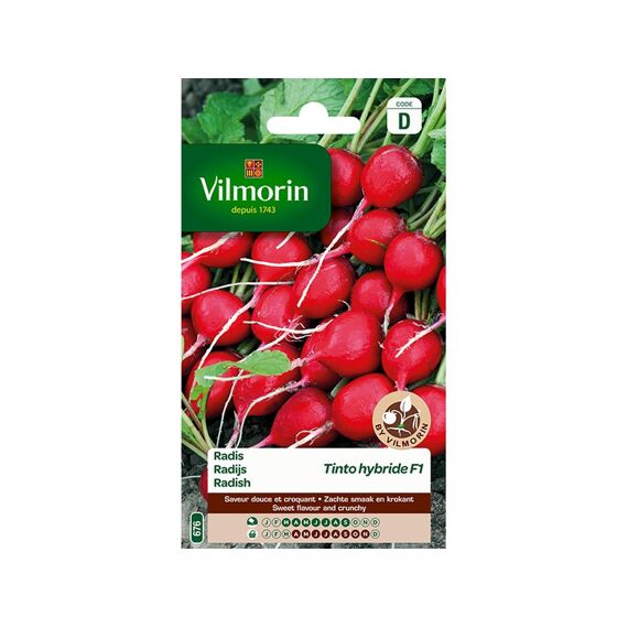 Vilmorin Radijs Tinto Hf1 - Sd