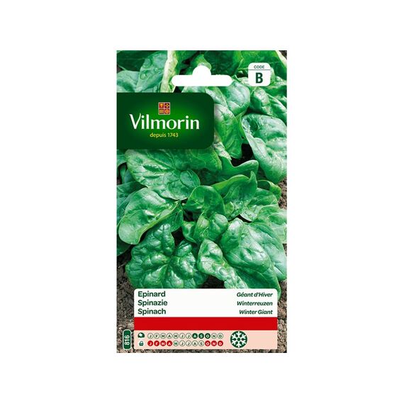 Vilmorin Spinazie Winterreuzen - Sb