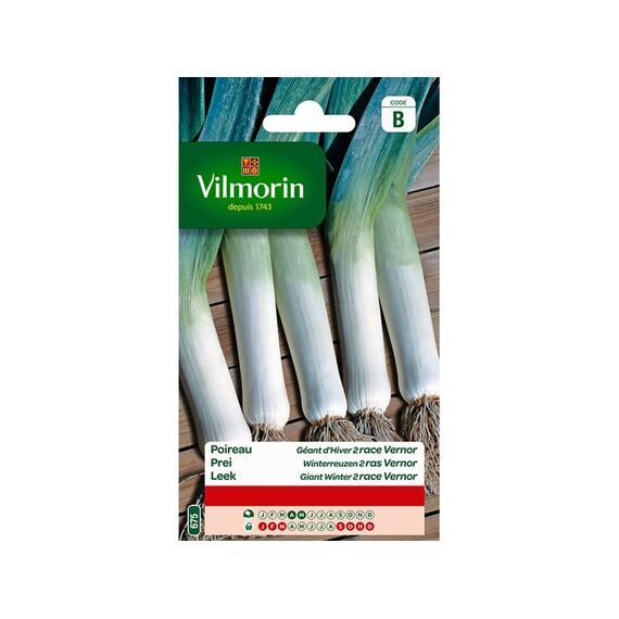 Vilmorin Prei Winterreuzen Vernor - Sb