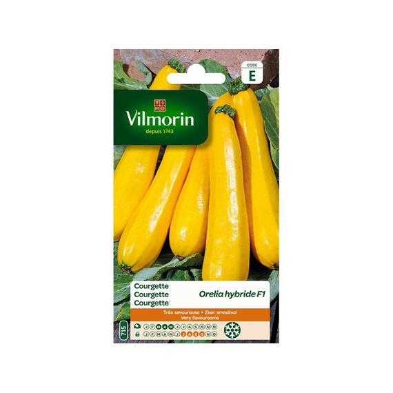 Vilmorin Courgette Geel Orélia -Se