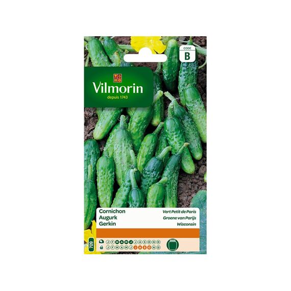 Vilmorin Augurk Groene Van Parijs - Sb